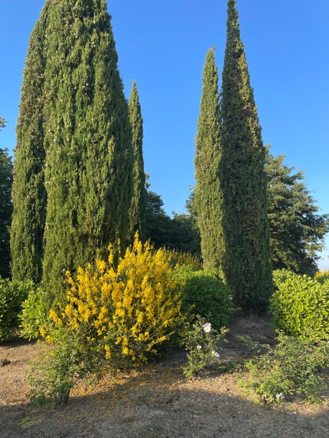 Tuscany Relax H&H - Helly House San Vivaldo Exterior foto